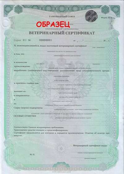 Государства-участники Таможенного союза введут единый ветеринарный сертификат