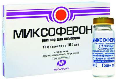 МИКСОФЕРОН – отечественный иммуномодулятор