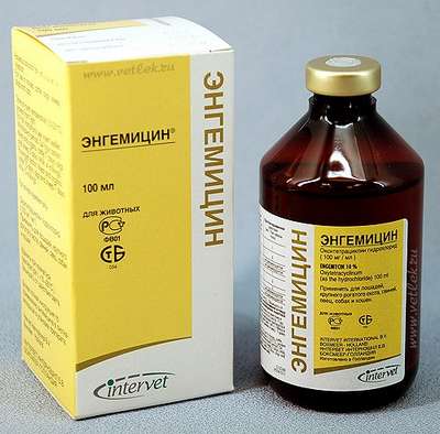 Энгемицин 10% (Engemycine) от Intervet: Инструкция по применению