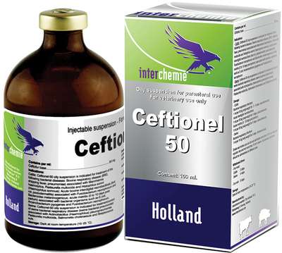 Кефтионел-50 от Interchemie: Инструкция по применению
