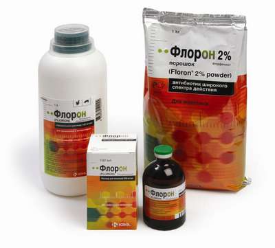 Floron от KRKA: Инструкция по применению