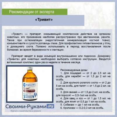 Тривитамин от Лена: Инструкция по применению