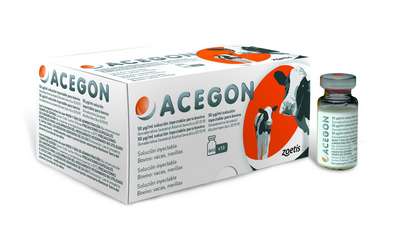 Ацегон (Acegon) от Zoetis: Инструкция по применению
